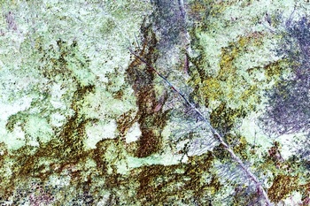 N 149B